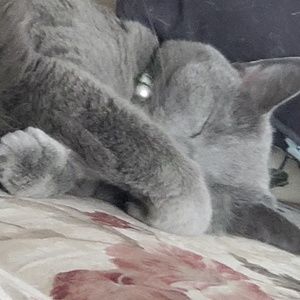 Meet your Posher, Jackie